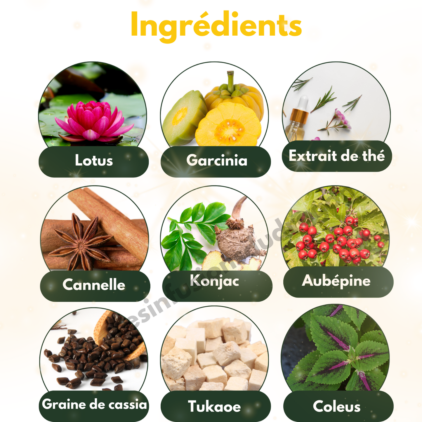 Detox Slimming capsule, coupe-faim, perte de poids, amincissement EXPRESS 10 j