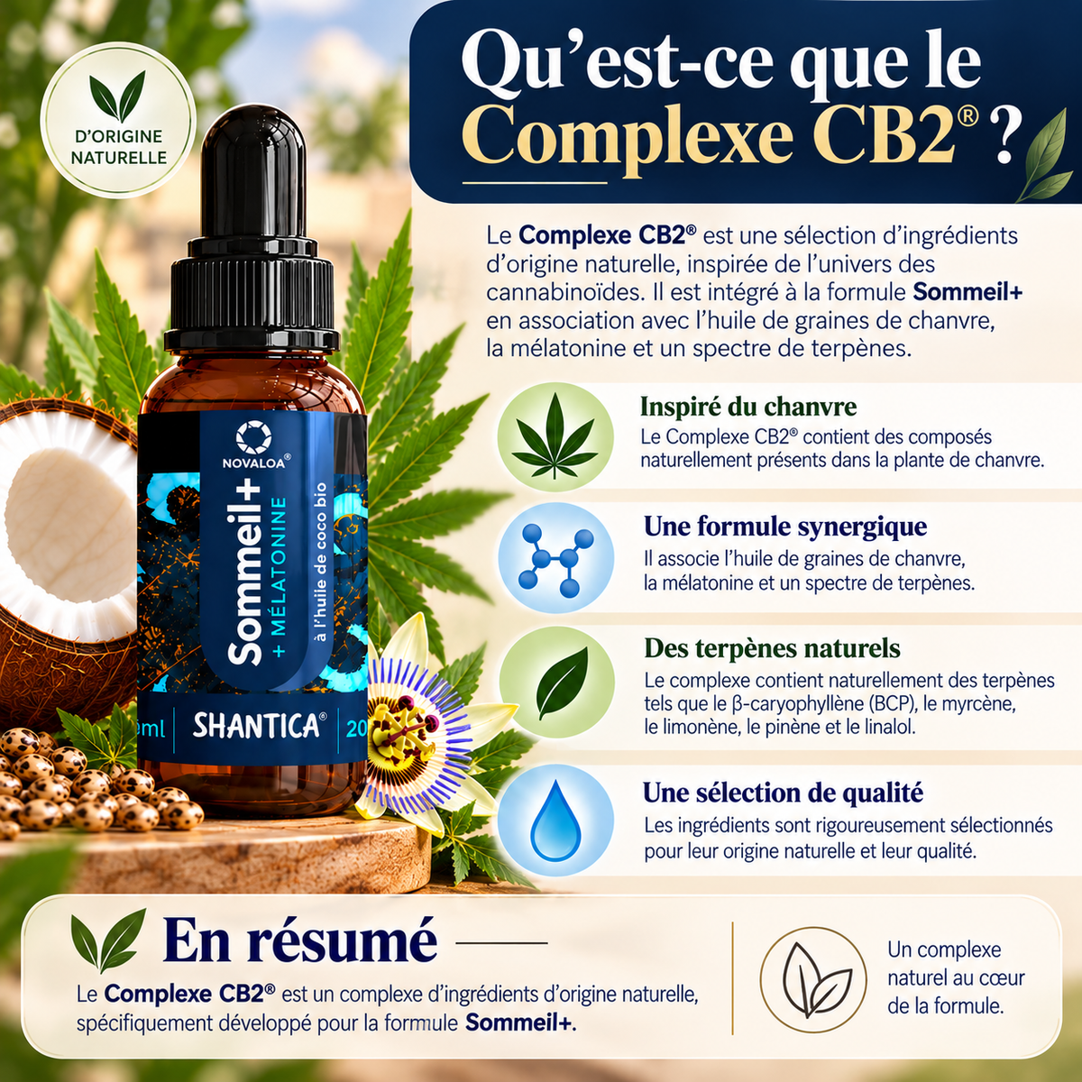 SOMMEIL+ – Complexe CB2® + Mélatonine Une formule complète à base d’ingrédients sélectionnés, dans un format pratique en gouttes.