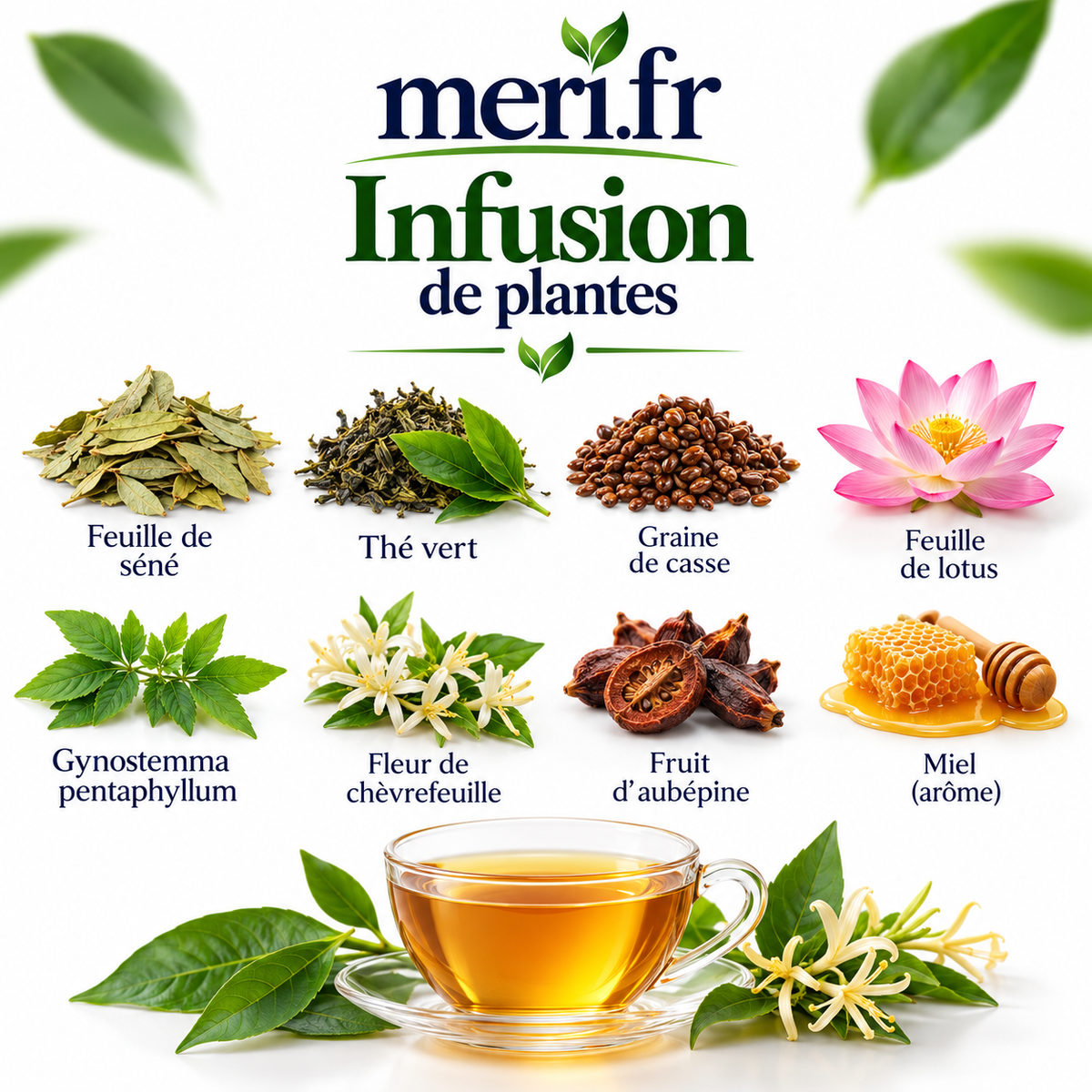 Meri.fr Infusion de Plantes – 28 Sachets Individuels – Tisane aux Plantes – Boisson Chaude ou Froide – Pause Bien-Être au Quotidien