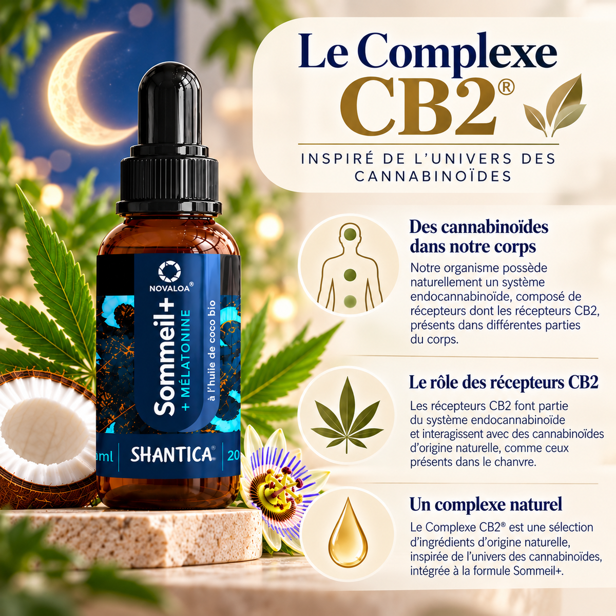 SOMMEIL+ – Complexe CB2® + Mélatonine Une formule complète à base d’ingrédients sélectionnés, dans un format pratique en gouttes.